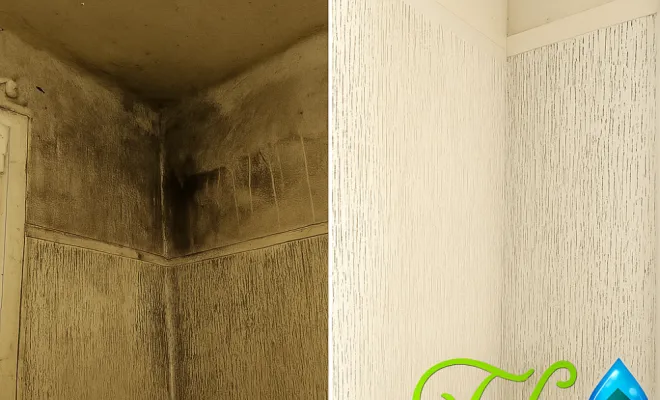 Nettoyage des murs d'un appartement à Gennevilliers qu'à été oublier par le propriétaire pendant des années  